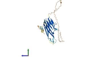 AlphaFold protein structure predicition of Mouse Recombinant Ltb Protein, UniprotID P41155