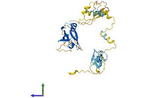 AlphaFold protein structure predicition of Human Recombinant PDLIM3 Protein, UniprotID Q53GG5