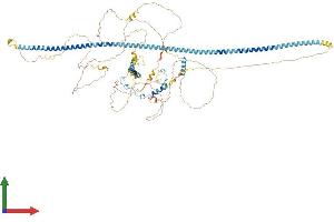 AlphaFold protein structure predicition of Human Recombinant INCENP Protein, UniprotID Q9NQS7