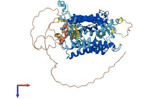 AlphaFold protein structure predicition of Mouse Recombinant Slc23a2 Protein, UniprotID Q9EPR4
