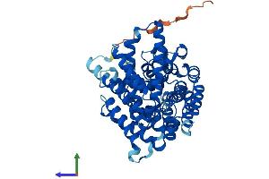 AlphaFold protein structure predicition of Human Recombinant MBOAT7 Protein, UniprotID Q96N66