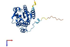 AlphaFold protein structure predicition of Mouse Recombinant Isoc2b Protein, UniprotID Q9DCC7