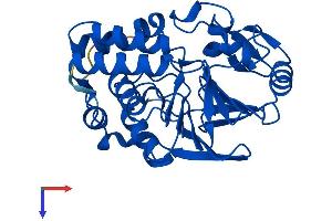 AlphaFold protein structure predicition of Mouse Recombinant Ppp6c Protein, UniprotID Q9CQR6