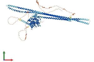 AlphaFold protein structure predicition of Mouse Recombinant Taok1 Protein, UniprotID Q5F2E8