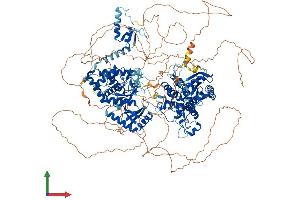 AlphaFold protein structure predicition of Mouse Recombinant Tut7 Protein, UniprotID Q5BLK4