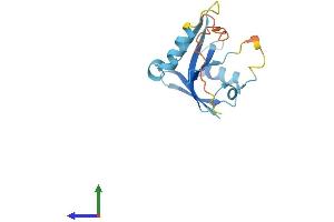 AlphaFold protein structure predicition of Human Recombinant C22orf15 Protein, UniprotID Q8WYQ4