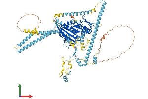 AlphaFold protein structure predicition of Human Recombinant KIF3B Protein, UniprotID O15066