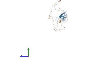 AlphaFold protein structure predicition of Human Recombinant AKAP17A Protein, UniprotID Q02040