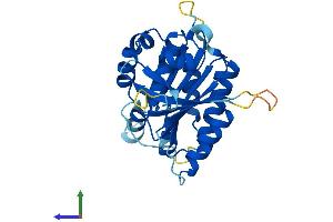 AlphaFold protein structure predicition of Human Recombinant ELP6 Protein, UniprotID Q0PNE2