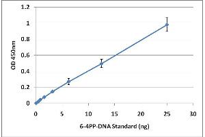6-4PP-DNA Standard Curve (UV-Induced DNA Damage Kit ELISA)