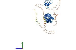 AlphaFold protein structure predicition of Human Recombinant BAIAP2L1 Protein, UniprotID Q9UHR4