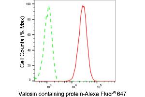 Flow cytometric analysis of Valosin containing protein expression in C2C12 cells using Valosin containing protein antibody (ABIN7800818), 1:2,000). (Recombinant VCP anticorps)