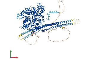 AlphaFold protein structure predicition of Human Recombinant PLCB1 Protein, UniprotID Q9NQ66