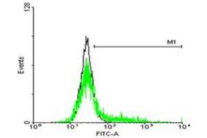 FACS analysis of negative control 293 cells (Black) and IL13RA1 expressing 293 cells (Green) using IL13RA1 purified MaxPab mouse polyclonal antibody.