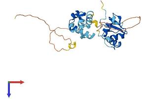 AlphaFold protein structure predicition of Mouse Recombinant Elf5 Protein, UniprotID Q8VDK3