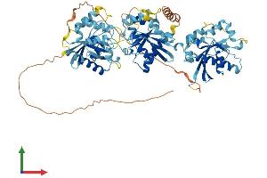 AlphaFold protein structure predicition of Mouse Recombinant Gimap8 Protein, UniprotID Q75N62