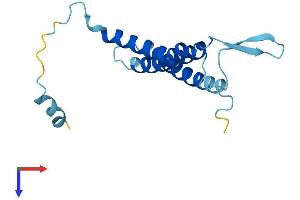 AlphaFold protein structure predicition of Human Recombinant OSTC Protein, UniprotID Q9NRP0