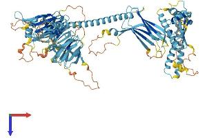 AlphaFold protein structure predicition of Human Recombinant FAAP100 Protein, UniprotID Q0VG06