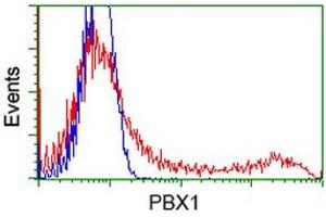 Flow Cytometry (FACS) image for anti-Pre-B-Cell Leukemia Homeobox Protein 1 (PBX1) antibody (ABIN1500045) (PBX1 anticorps)