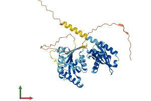 AlphaFold protein structure predicition of Human Recombinant RRAGD Protein, UniprotID Q9NQL2
