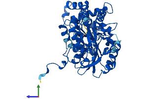 AlphaFold protein structure predicition of Mouse Recombinant Kyat1 Protein, UniprotID Q8BTY1