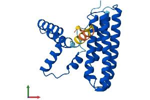 AlphaFold protein structure predicition of Human Recombinant PDCD10 Protein, UniprotID Q9BUL8
