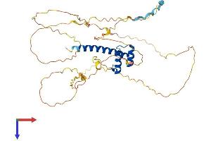 AlphaFold protein structure predicition of Human Recombinant HOXA10 Protein, UniprotID P31260
