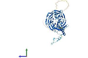 AlphaFold protein structure predicition of Mouse Recombinant Cdc40 Protein, UniprotID Q9DC48