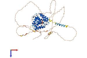 AlphaFold protein structure predicition of Mouse Recombinant Tor1aip1 Protein, UniprotID Q921T2