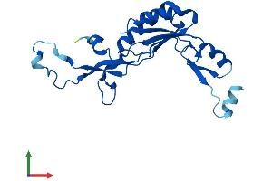 AlphaFold protein structure predicition of Mouse Recombinant Rpl10l Protein, UniprotID P86048