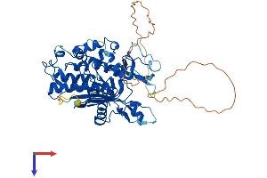 AlphaFold protein structure predicition of Mouse Recombinant Adat1 Protein, UniprotID Q9JHI2