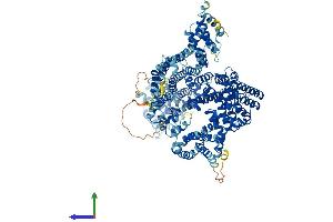 AlphaFold protein structure predicition of Mouse Recombinant Ncapg2 Protein, UniprotID Q6DFV1