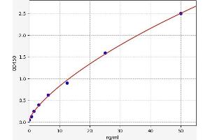 Typical standard curve (PRKCSH Kit ELISA)