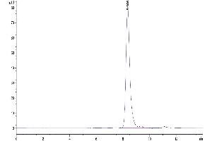 The purity of Human Complement Component C2 is greater than 95 % as determined by SEC-HPLC. (Complement C2 Protein (AA 21-752) (His tag))