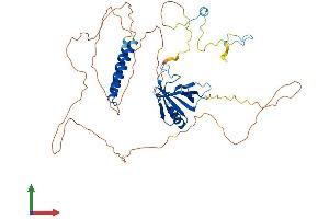 AlphaFold protein structure predicition of Mouse Recombinant Nup50 Protein, UniprotID Q9JIH2