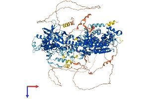 AlphaFold protein structure predicition of Human Recombinant DROSHA Protein, UniprotID Q9NRR4
