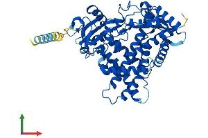 AlphaFold protein structure predicition of Mouse Recombinant Cyp2s1 Protein, UniprotID Q9DBX6
