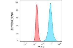 Flow Cytometric Analysis of HeLa cells. (Recombinant Histone H1 anticorps)