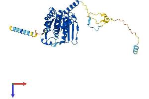 AlphaFold protein structure predicition of Human Recombinant UBA5 Protein, UniprotID Q9GZZ9