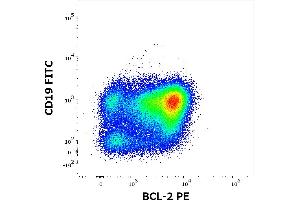 Flow cytometry multicolor staining of human lymphocytes stained using anti-human BCL2 (Bcl-2/100) PE antibody (intracellular staining, 10 μL reagent / 100 μL of peripheral whole blood from DLBCL patient) and anti-human CD19 (LT19) FITC antibody (surface staining, 20 μL reagent / 100 μL of peripheral whole blood from DLBCL patient).