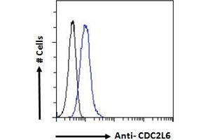 ABIN570894 Flow cytometric analysis of paraformaldehyde fixed HeLa cells (blue line), permeabilized with 0.
