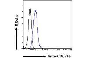 ABIN570894 Flow cytometric analysis of paraformaldehyde fixed HeLa cells (blue line), permeabilized with 0. (CDK19 anticorps  (C-Term))