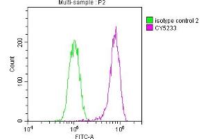 Overlay histogram showing Hela cells stained with ABIN7127616 (red line) at 1:50.