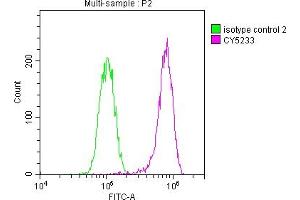 Overlay histogram showing Hela cells stained with ABIN7127616 (red line) at 1:50. (Recombinant c-MET anticorps)