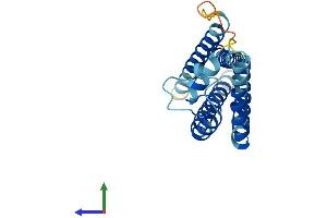 AlphaFold protein structure predicition of Mouse Recombinant Tspan2 Protein, UniprotID Q922J6