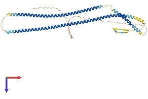 AlphaFold protein structure predicition of Human Recombinant KRT15 Protein, UniprotID P19012