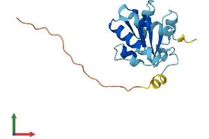 AlphaFold protein structure predicition of Human Recombinant NHP2 Protein, UniprotID Q9NX24
