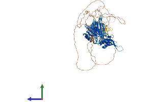 AlphaFold protein structure predicition of Human Recombinant CNNM1 Protein, UniprotID Q9NRU3