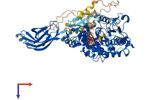 AlphaFold protein structure predicition of Human Recombinant PLA2G4A Protein, UniprotID P47712