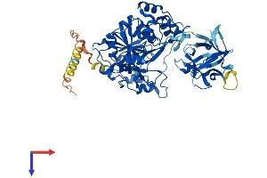 AlphaFold protein structure predicition of Human Recombinant GALNT14 Protein, UniprotID Q96FL9
